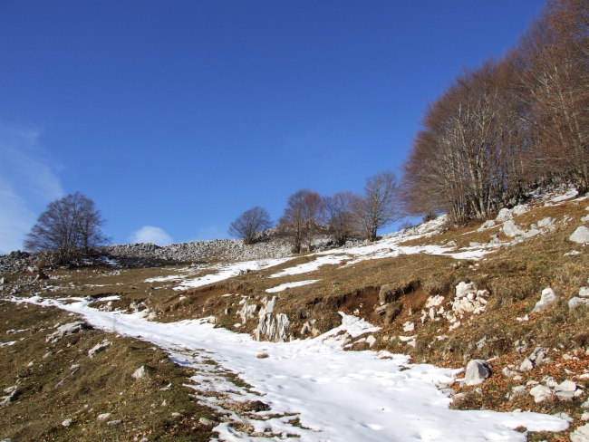 Versante laziale del Parco Nazionale d''Abruzzo